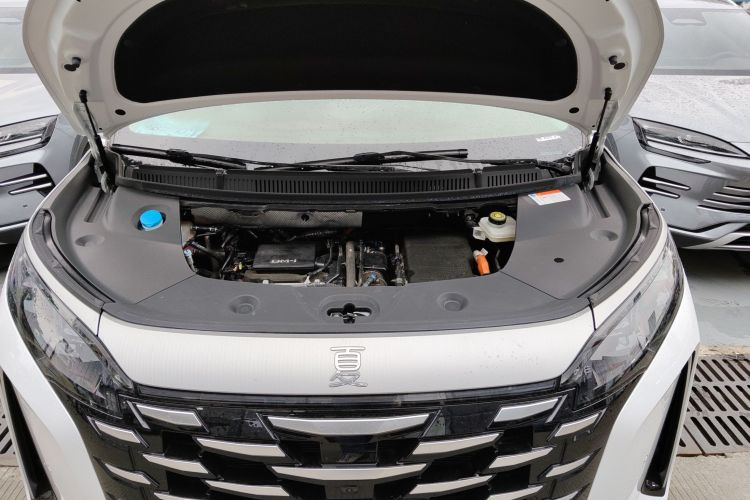 BYD Xia 2024 car image #24