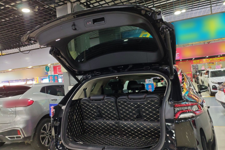 BYD Tang New Energy 2019 #24 BYD Tang New Energy 2019 car image #24
