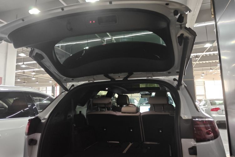 BYD Tang New Energy 2024 car image #24