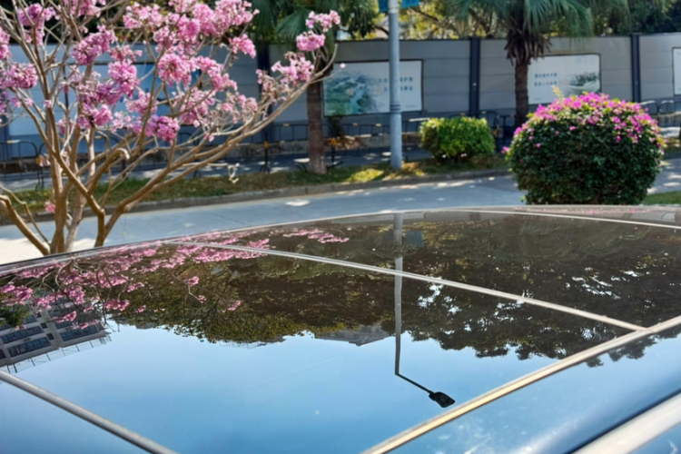 Honda Avancier 2020 car image #24