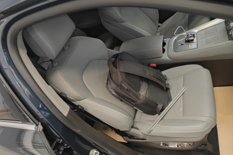 Denza N8 2023 imagen de coche #24