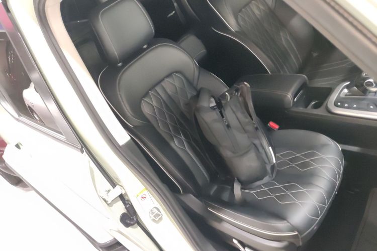 Tank 300 2021 immagine di auto #24