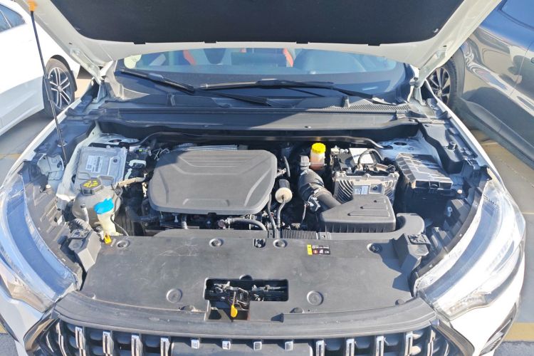 Haval Rabbit 2021 car image #24