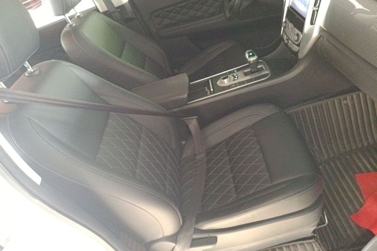 Great Wall Poer 2020 car image #24