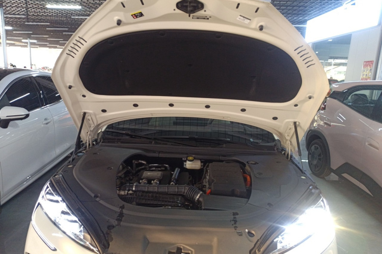 BYD Seal 07 DM-i 2025 car image #24