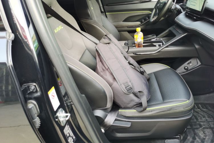 Haval H6S 2023 immagine di auto #24