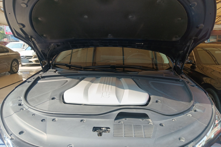 比亚迪 唐新能源 2019 汽车图片 #24