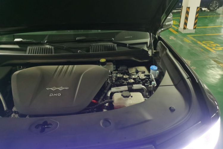 FangChengBao Leopard 8 2025 car image #24