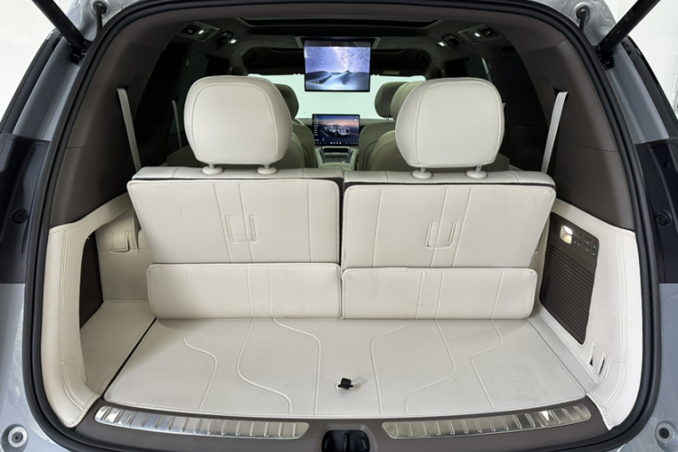 Denza 2025 car image #24