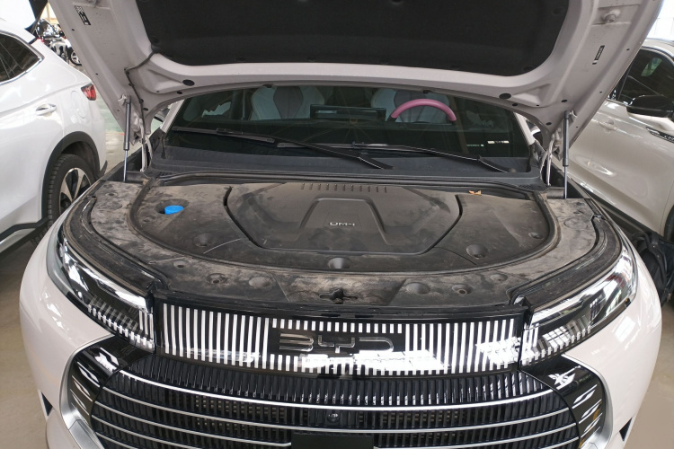 BYD Frigate 07 2023 immagine di auto #24