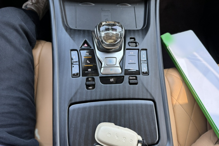 Denza D9 2025 car image #24