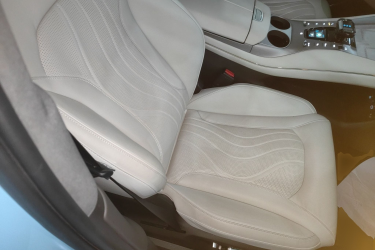 Denza N7 2024 car image #24