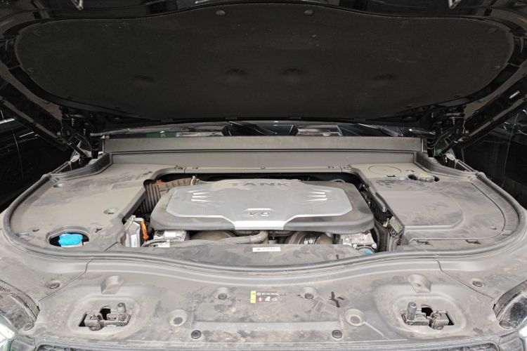 Tank 700 New Energy 2024 #24 Tank 700 New Energy 2024 immagine di auto #24