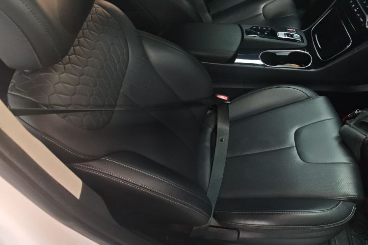 Hyundai Santa Fe 2022 car image #24