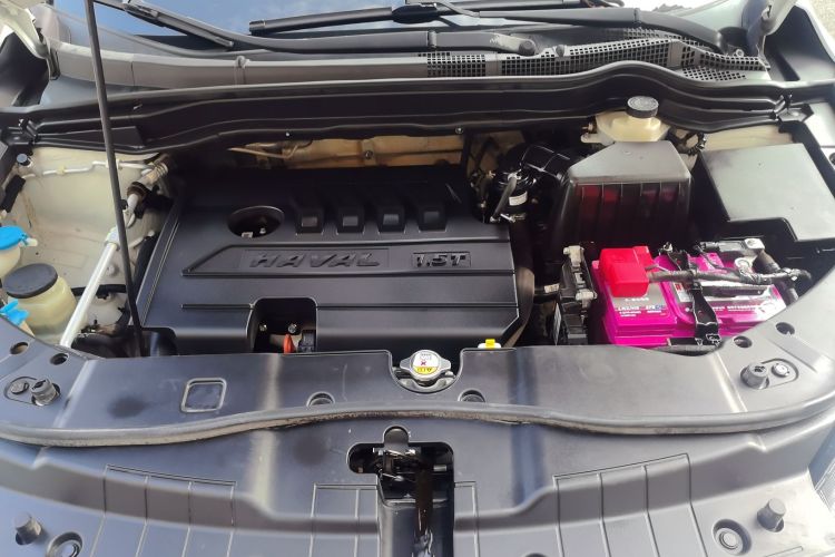 Haval H6 2019 car image #24
