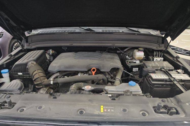 Tank 300 2023 immagine di auto #24