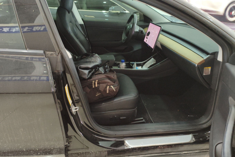 特斯拉 Model 3(进口) 2019 汽车图片 #24