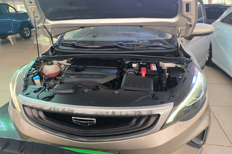 Emgrand GS 2021 car image #24