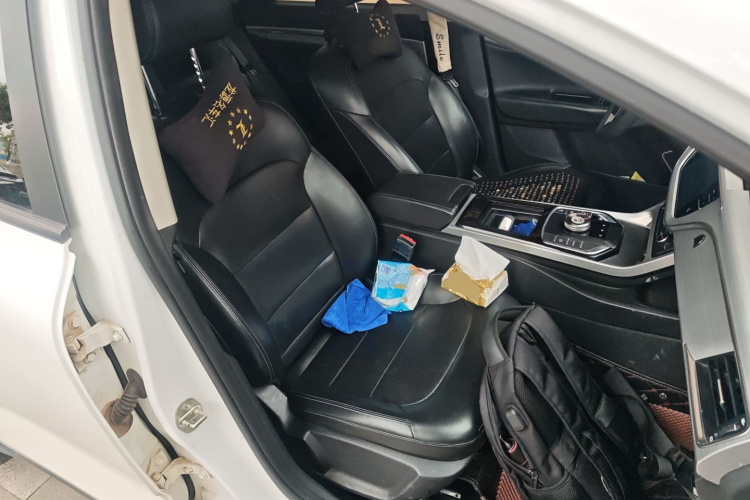 GEELY Emgrand GSe 2020 car image #24