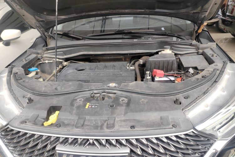 Haval M6 2022 car image #24