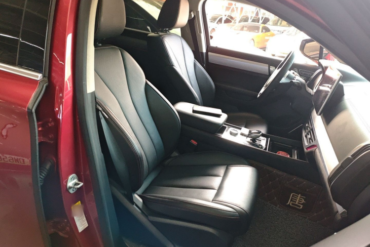 BYD Tang New Energy 2019 car image #24