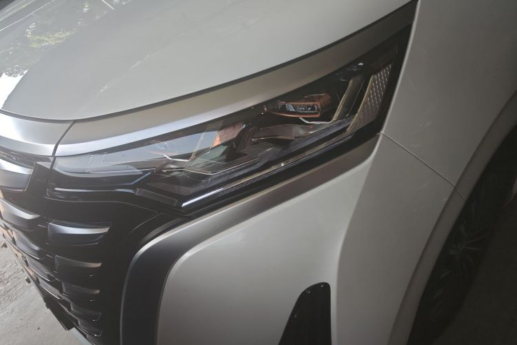 Denza D9 2023 imagem de carro #24