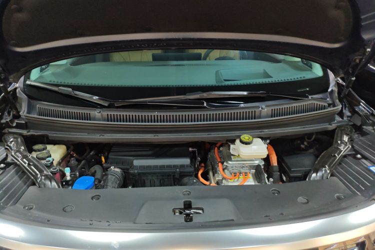 Denza D9 2023 imagen de coche #24