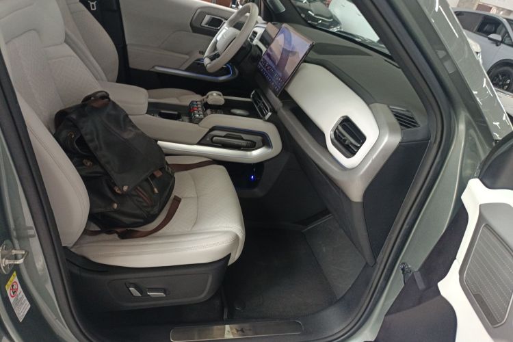 FangChengBao Tiger 3 2025 car image #24