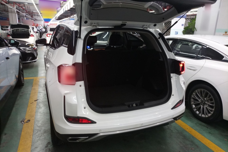 Showjet Pro 2021 car image #24