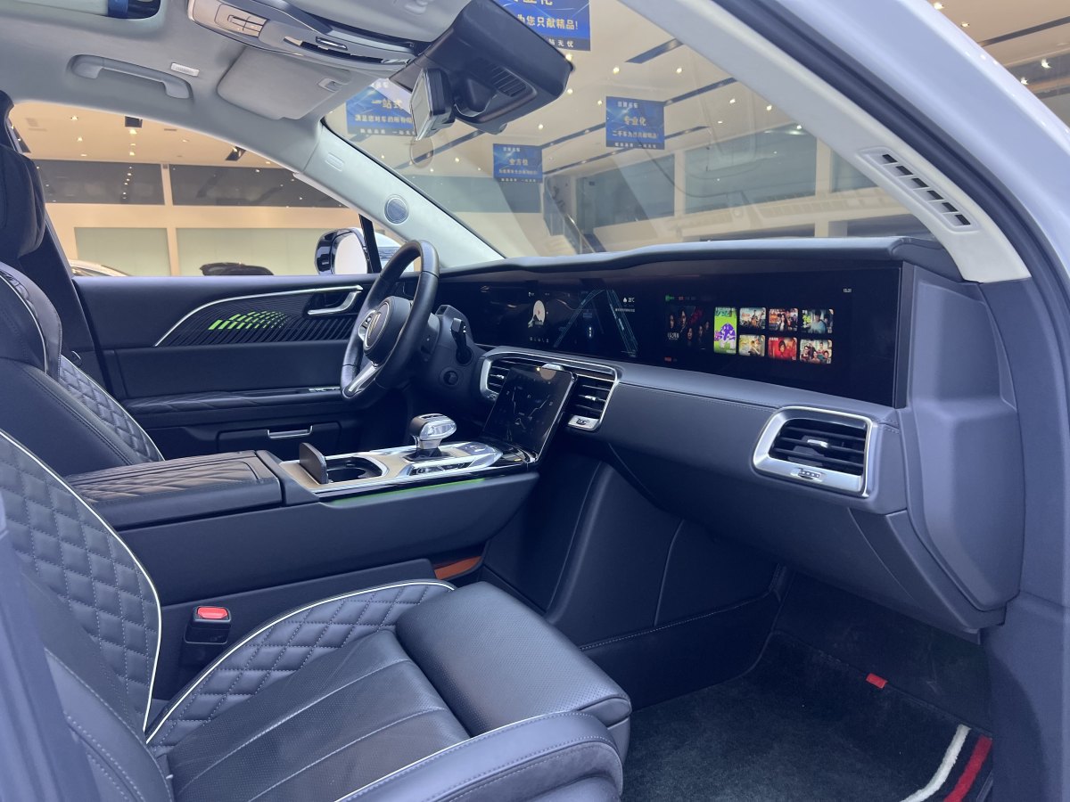 HongQi E-HS9 2022 car image #24