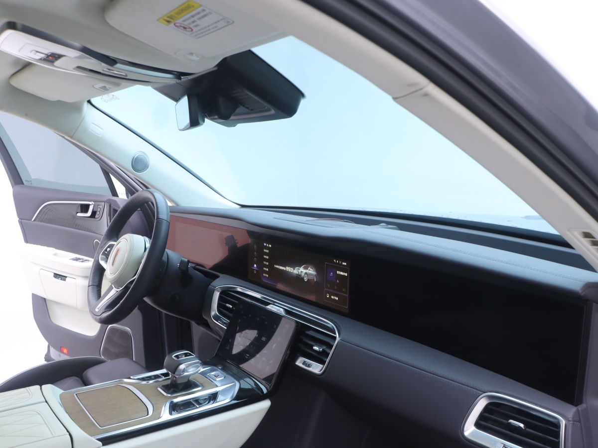 HongQi E-HS9 2023 car image #24