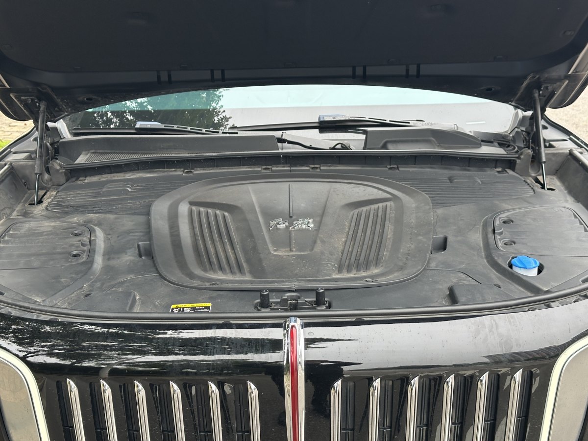 HongQi E-HS9 2022 #24 HongQi E-HS9 2022 car image #24