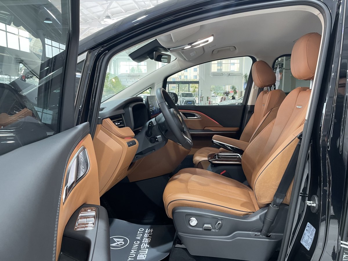 HongQi HQ9 2023 immagine di auto #24