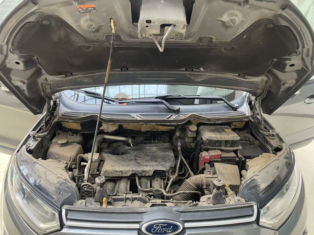 Ford EcoSport 2014 car image #24