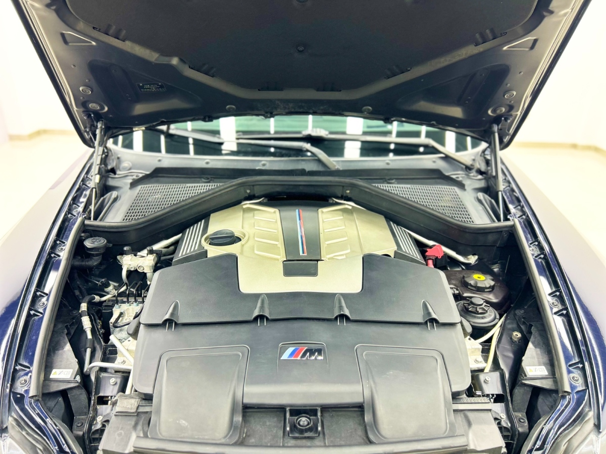 BMW X5 M 2010 car image #24