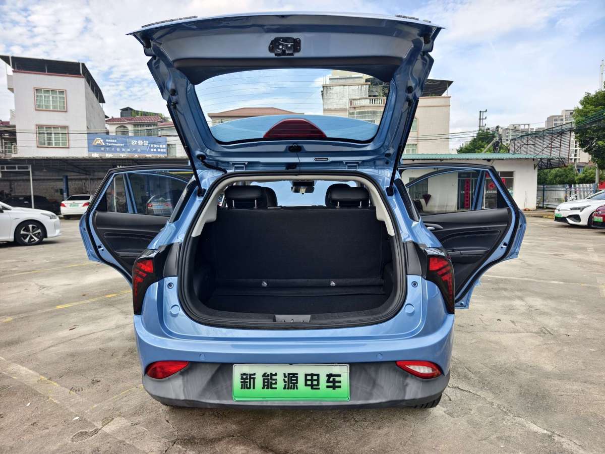 Neta V 2022 imagen de coche #24