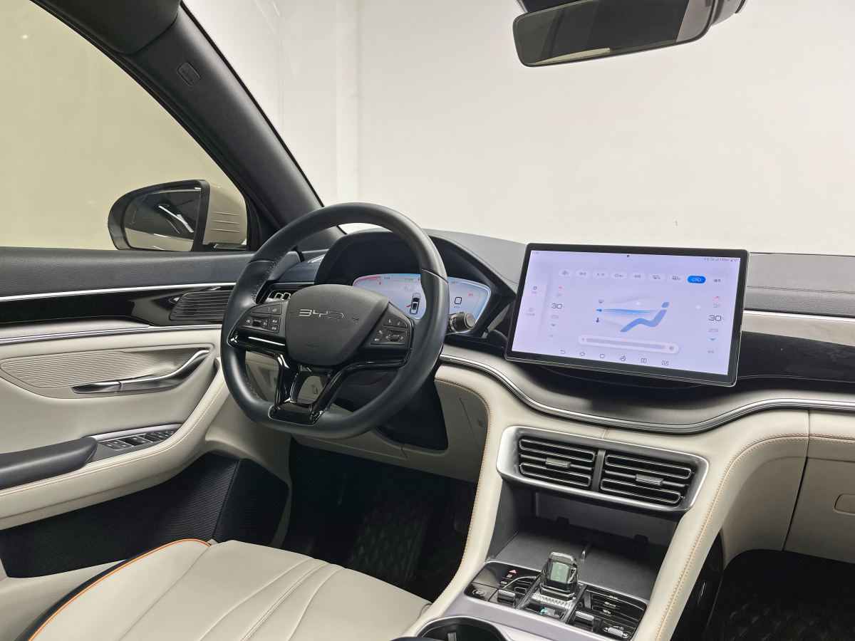 BYD Song Plus New Energy 2024 imagem de carro #24