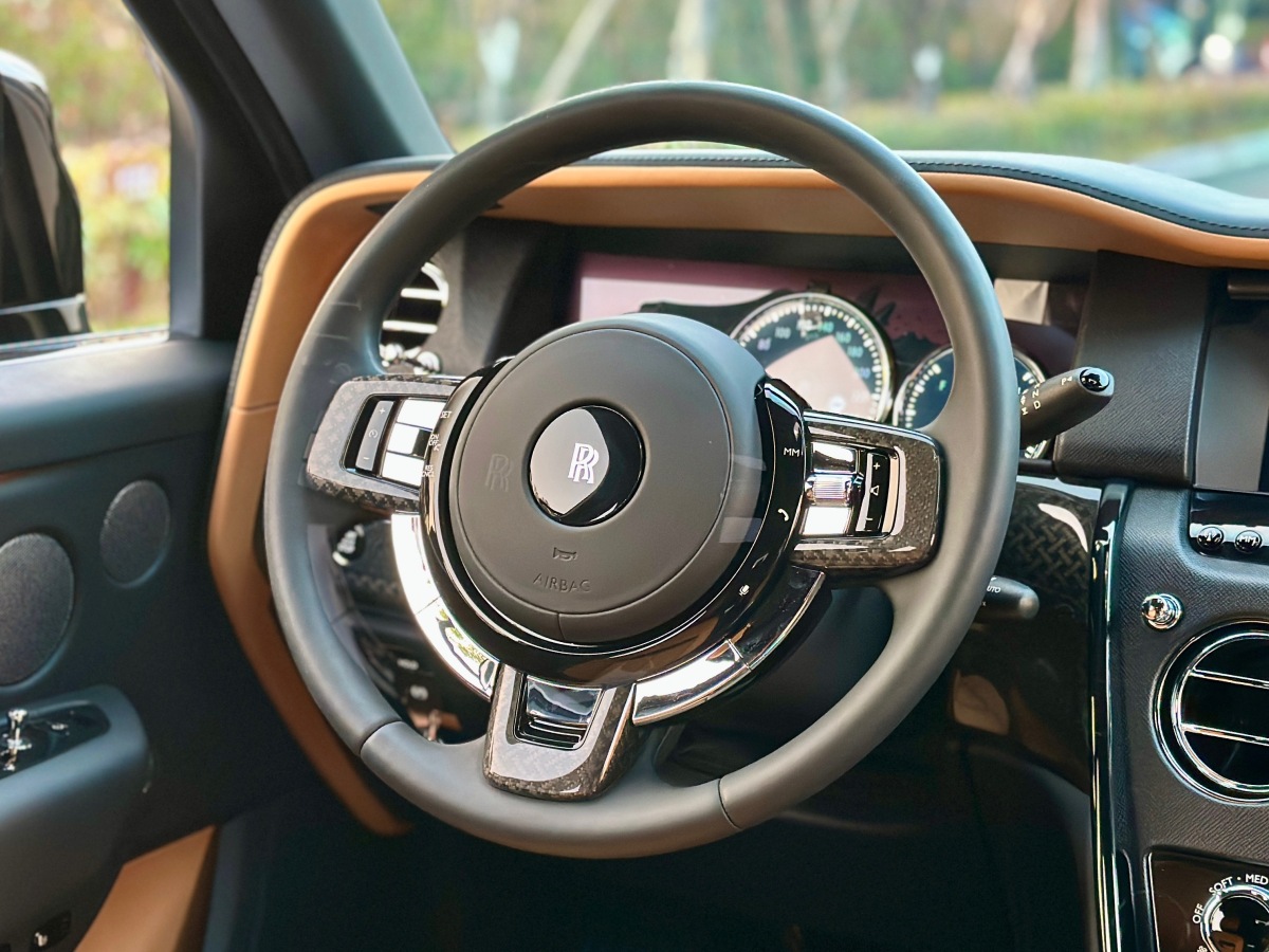 Rolls-Royce Cullinan 2022 immagine di auto #24