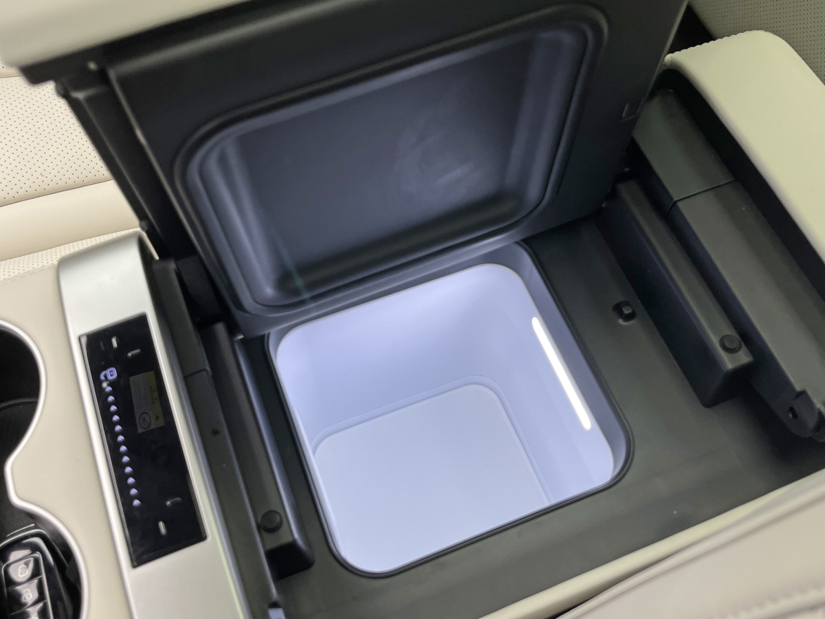 Denza Z9 2024 immagine di auto #24