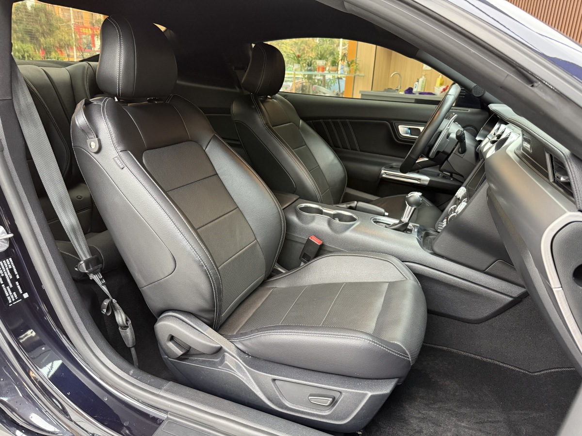 Ford Mustang 2022 car image #24