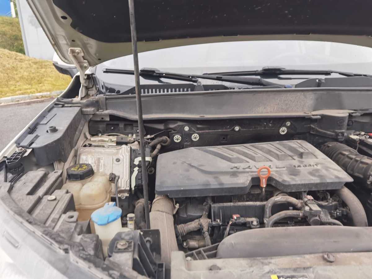 Haval H6 2021 #24 Haval H6 2021 car image #24