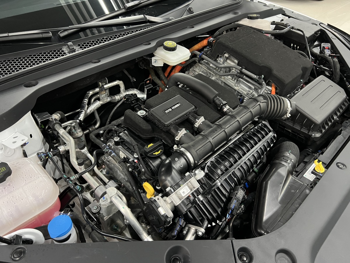 BYD Seal 06 New Energy 2024 car image #24