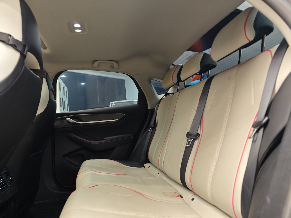 BYD Destroyer 05 2022 car image #24