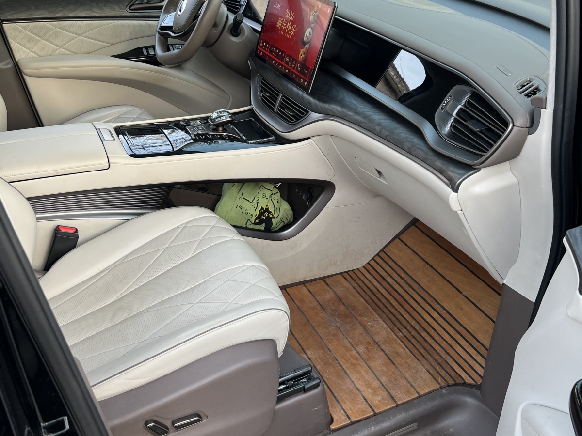 Denza D9 2023 image de voiture #24