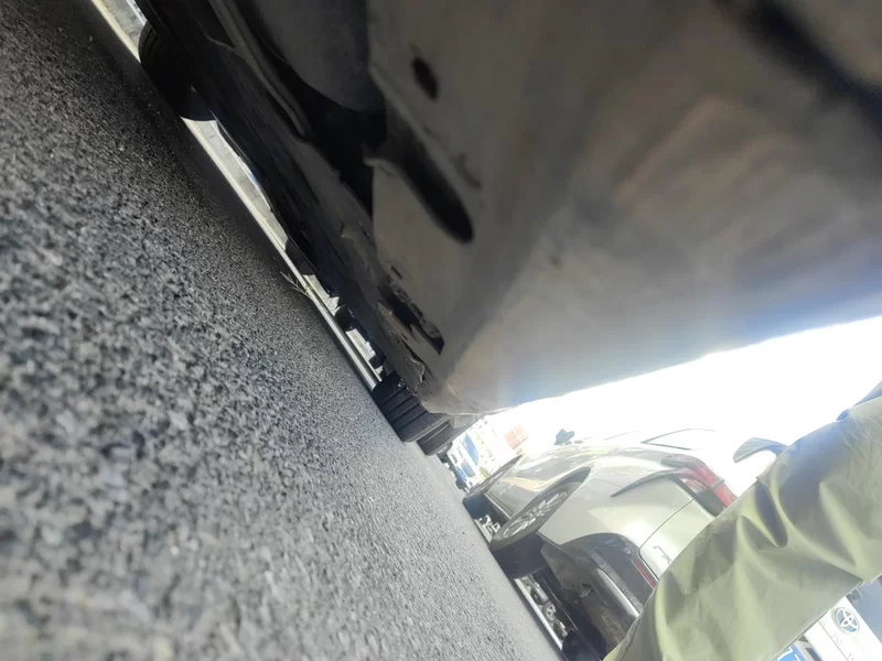 BMW 3 Series (Imported) 2010 #24 BMW 3 Series (Imported) 2010 immagine di auto #24