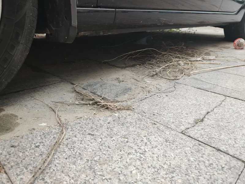 Great Wall C50 2016 car image #24