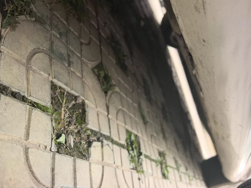 Honda Spirior 2016 صورة سيارة #24