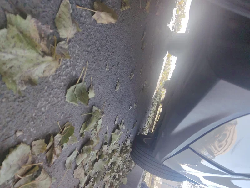 Haval H2 2015 car image #24