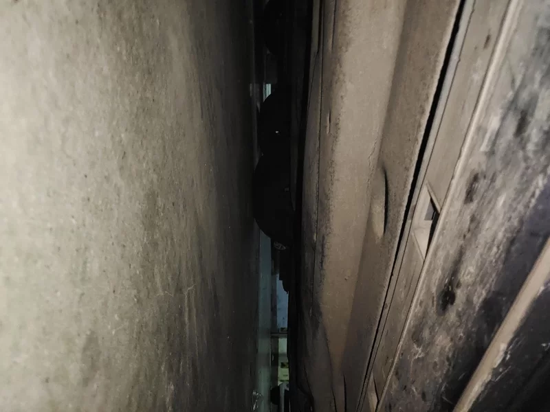 Ford Escape 2020 #24 Ford Escape 2020 immagine di auto #24