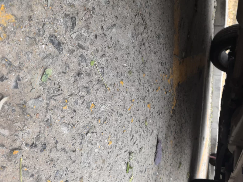 Changan CS55PLUS PHEV 2021 #24 Changan CS55PLUS PHEV 2021 immagine di auto #24